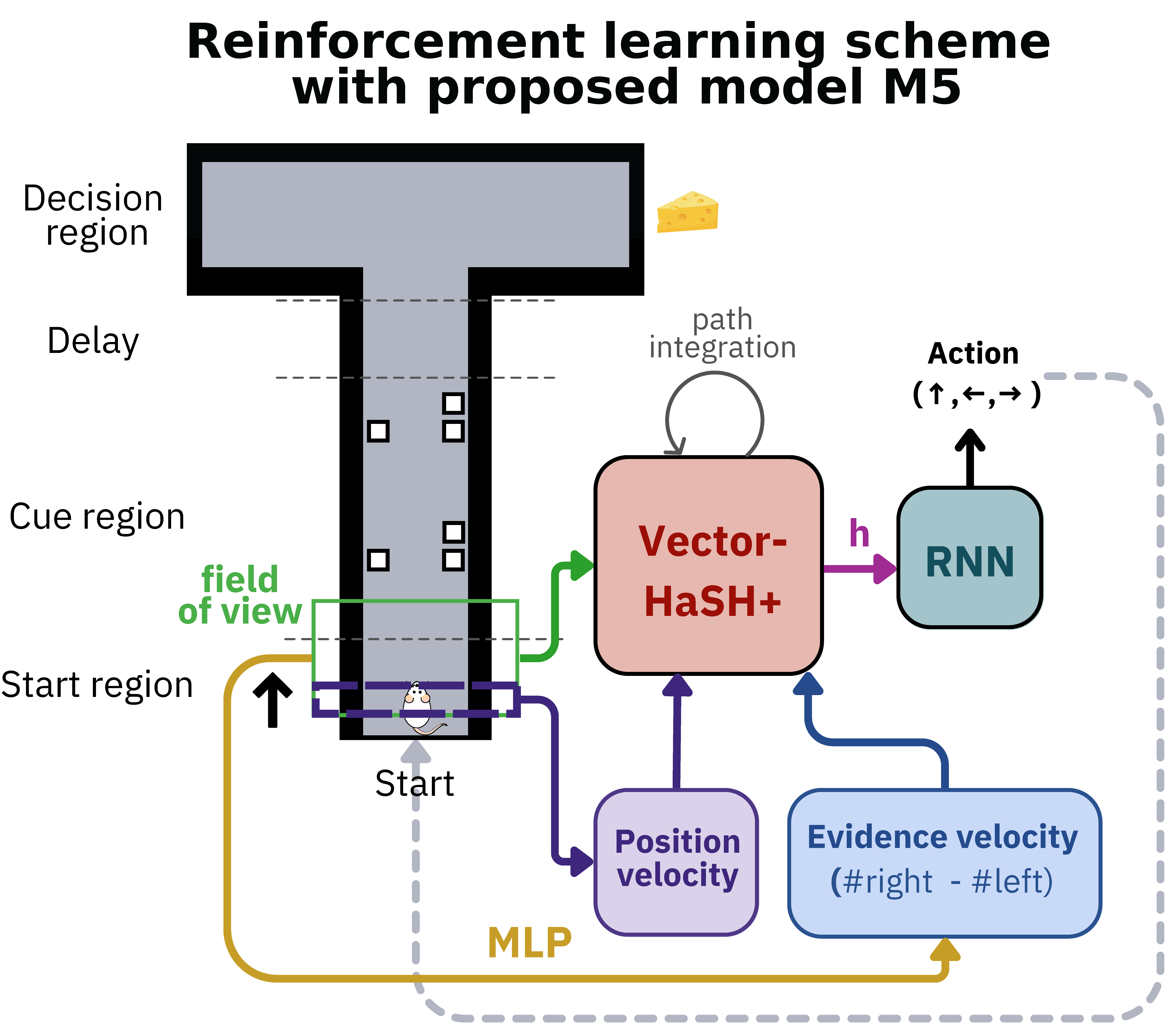 Model variants diagram