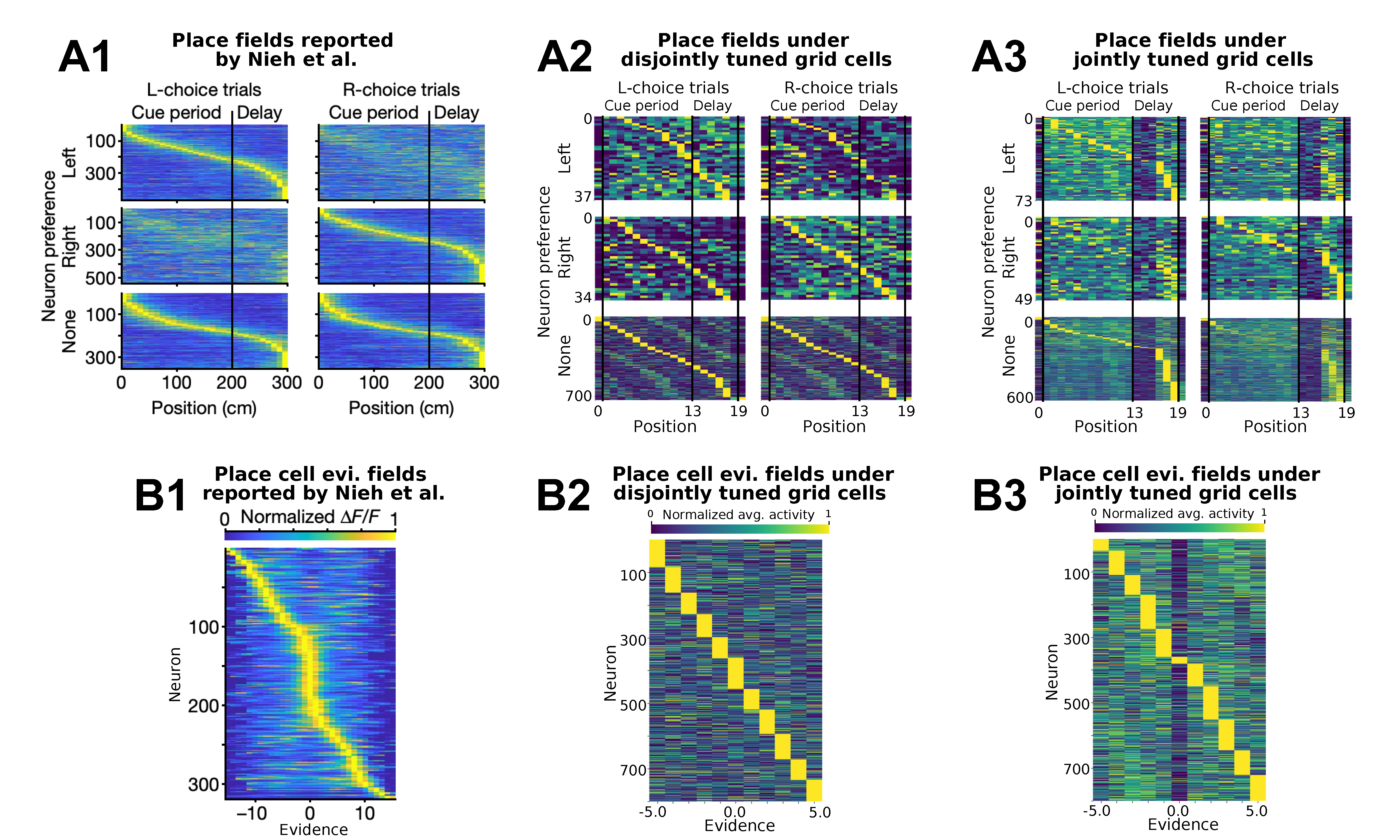 Hippocampal firing field comparison