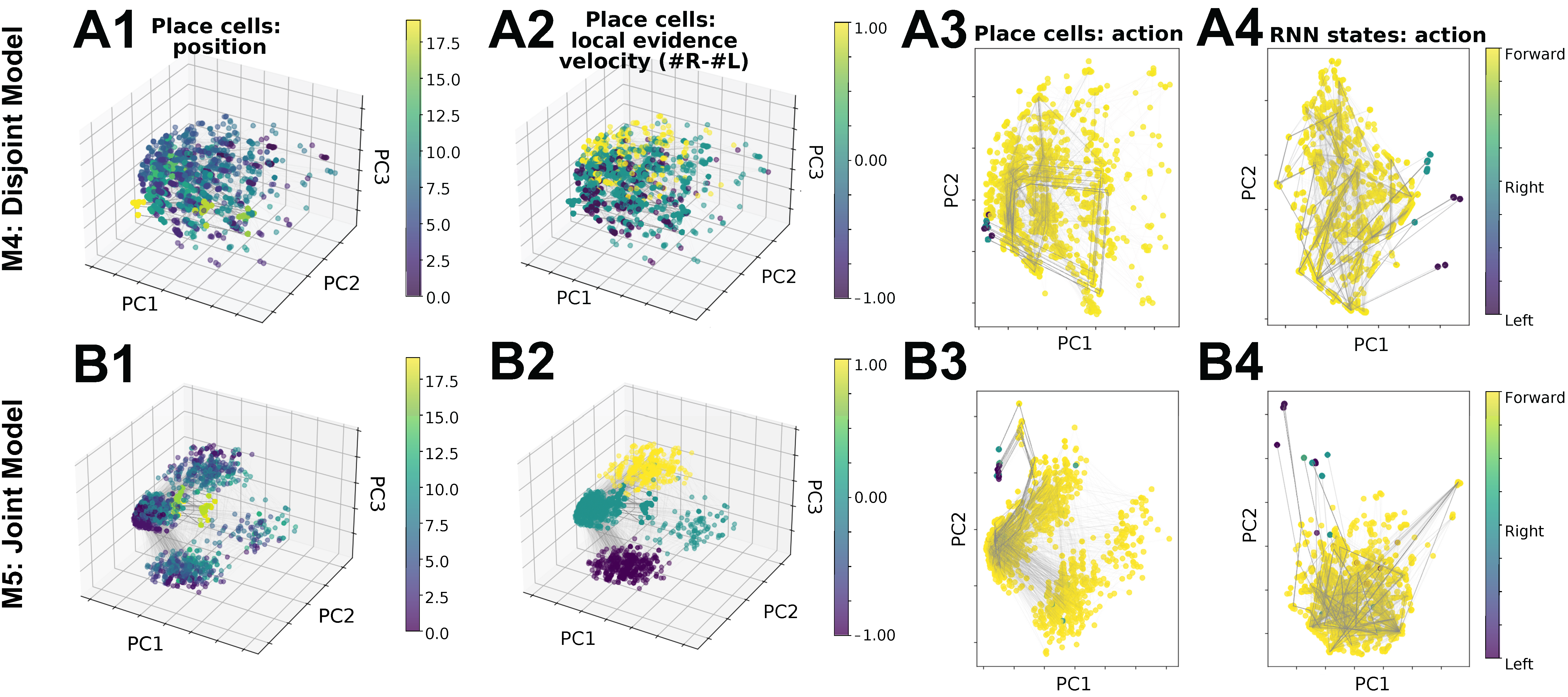 Hippocampal firing field comparison